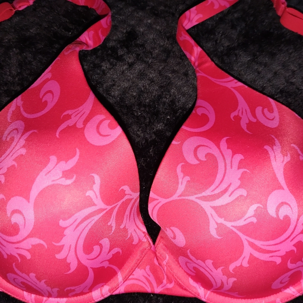 2 Ambrielle size 36C bras in good condition and 1 Lily of France 36C bra